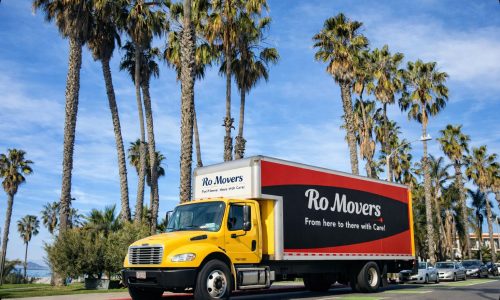Long-Distance Moving